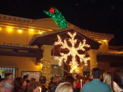 Dedication Lights at Cudeca Hospice